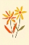 Picture of LIGHTHEARTED PETALS