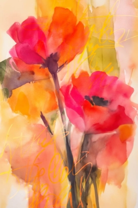 Picture of SUMMER OF COLORS