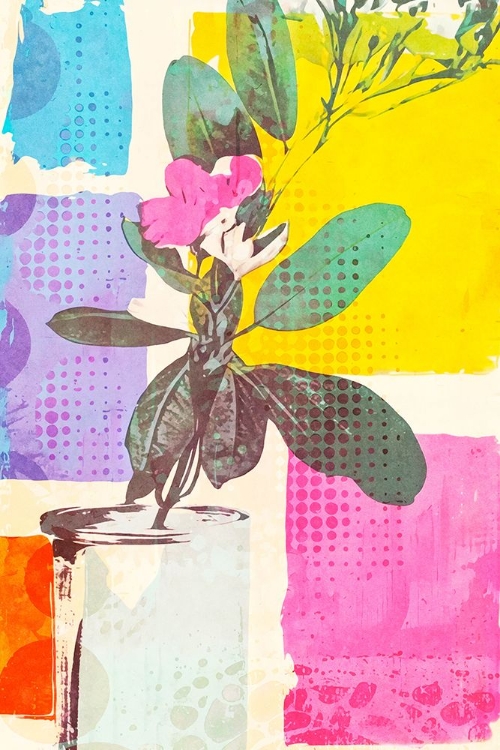 Picture of CANVAS OF SUNLIGHT