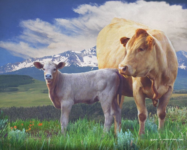 Picture of COW AND CALF IN THE MOUNTAINS