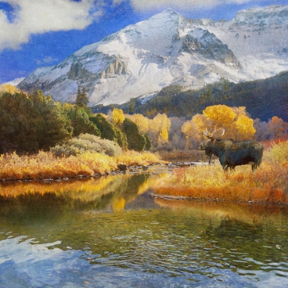 Picture of MOOSE ON DOLORES RIVER1