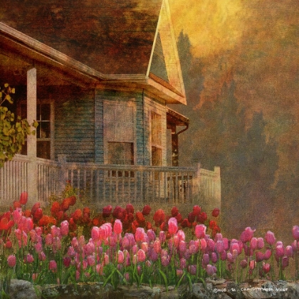 Picture of HOME AND GARDEN 2