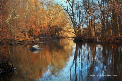 Picture of ASSABET RIVER VIEW_