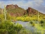 Picture of LUPINES AMID SAGAUROS