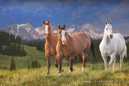Picture of THREE HORSES AT 535