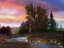 Picture of STREAM THROUGH FOREST