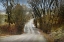 Picture of ROAD THRU GULCH