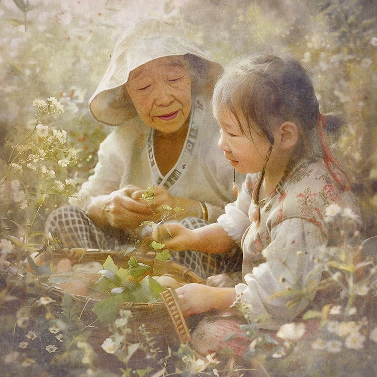 Picture of FAMILY OF MAN, TWELVE