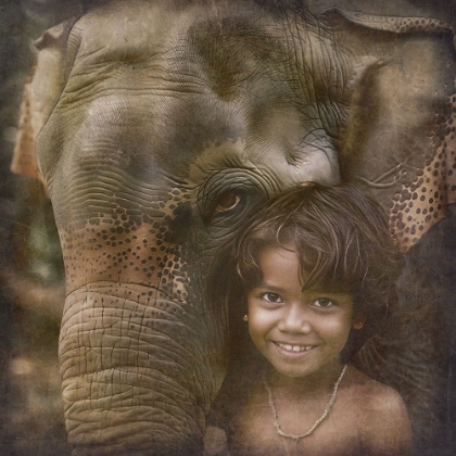 Picture of FAMILY OF MAN, SIXTEEN