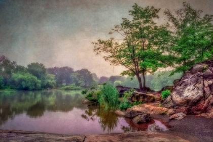 Picture of MIST OVER LAKE