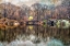 Picture of VINTAGE LAKE VIEW