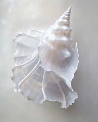 Picture of OCEANS TREASURE III