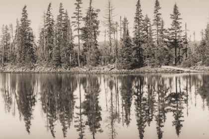 Picture of STILL WATERS ON ALPINE LAKE