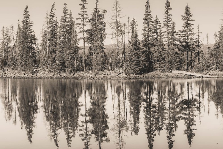 Picture of STILL WATERS ON ALPINE LAKE