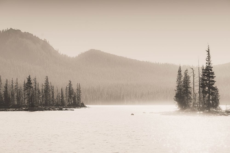 Picture of THE LAKE WE LEFT BEHIND