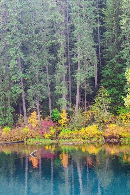 Picture of SHORES OF CLEAR LAKE