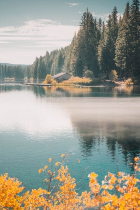 Picture of MORNING FOG ON CLEAR LAKE