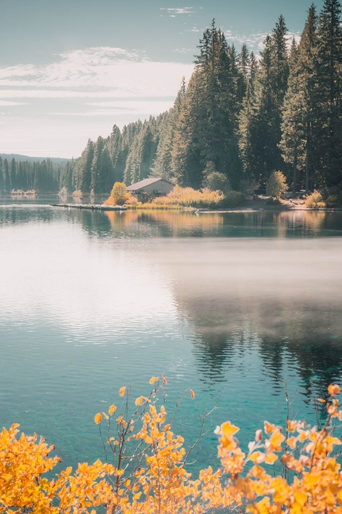 Picture of MORNING FOG ON CLEAR LAKE