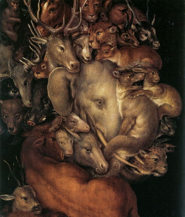 Picture of EARTH DETAIL 1566