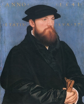 Picture of DE VOS VAN STEENWIJK 1541