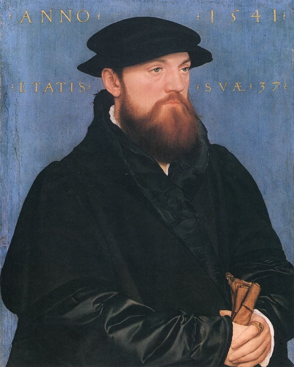 Picture of DE VOS VAN STEENWIJK 1541