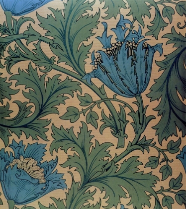 Picture of ANEMONE IN BLUE 1876