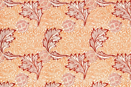 Picture of APPLE 1877