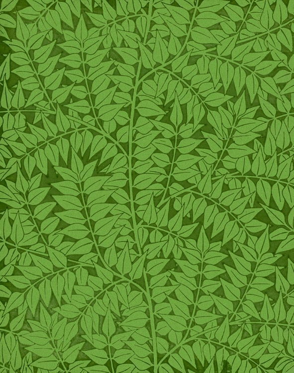 Picture of BRANCH GREEN 1872