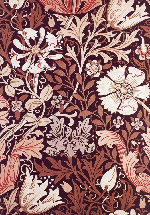 Picture of COMPTON 1896