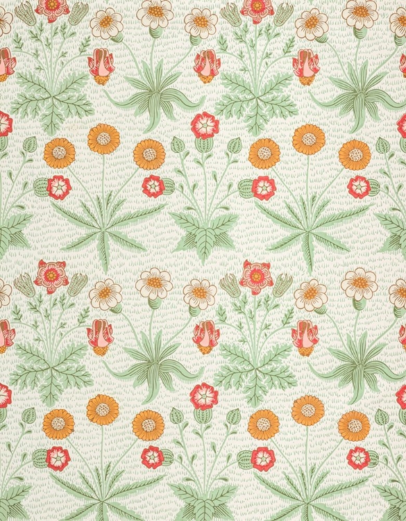 Picture of DAISY 1862