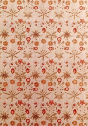 Picture of DAISY WALLPAPER V.1 1864