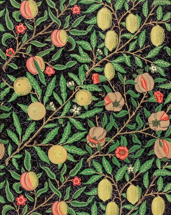 Picture of FRUIT PATTERN 1862