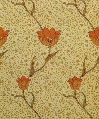 Picture of GARDEN TULIP WALLPAPER-1 1885