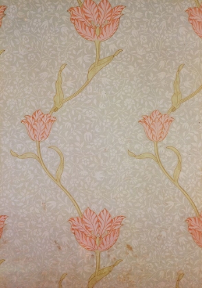 Picture of GARDEN TULIP WALLPAPER-2 1885