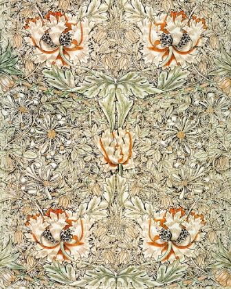 Picture of HONEYSUCKLE 1876