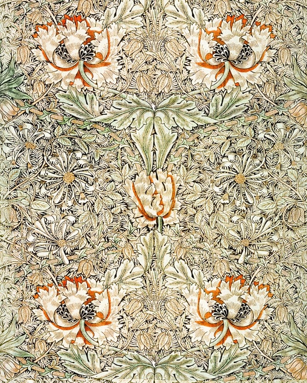 Picture of HONEYSUCKLE 1876