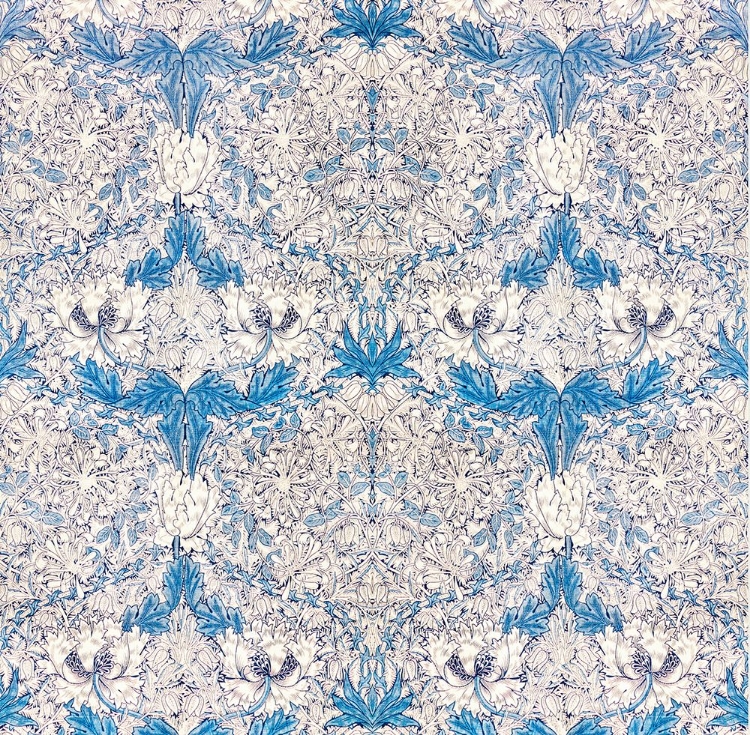 Picture of HONEYSUCKLE IN BLUE 1876