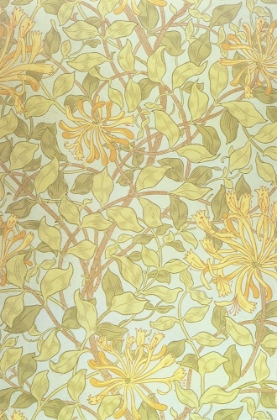 Picture of HONEYSUCKLE 1883