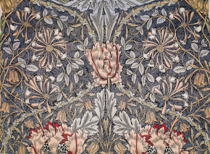 Picture of HONEYSUCKLE 1896