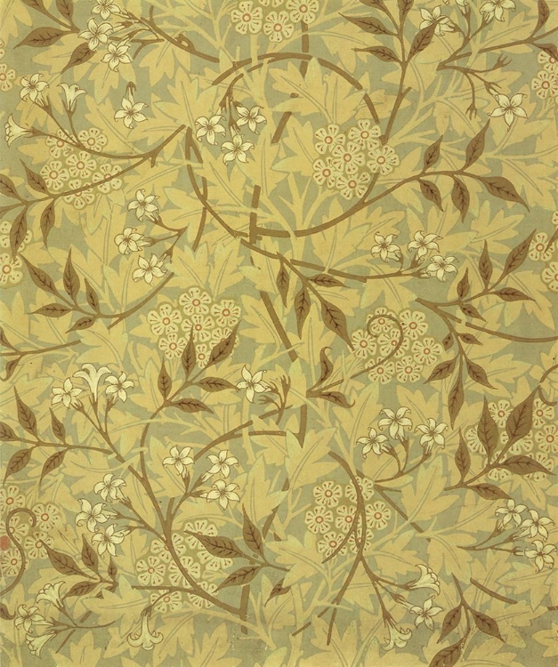 Picture of JASMINE WALLPAPER 1872
