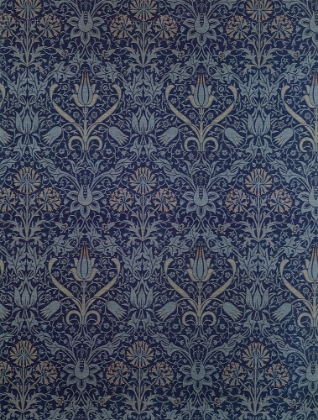 Picture of TULIP AND NET 1888