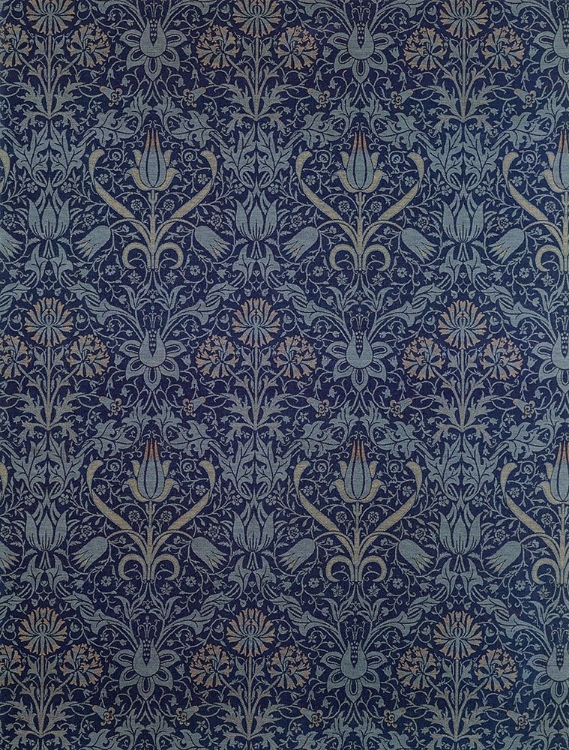 Picture of TULIP AND NET 1888