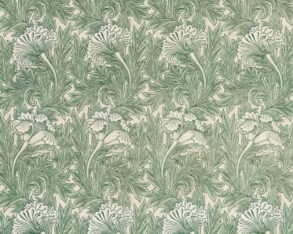 Picture of TULIP 1875