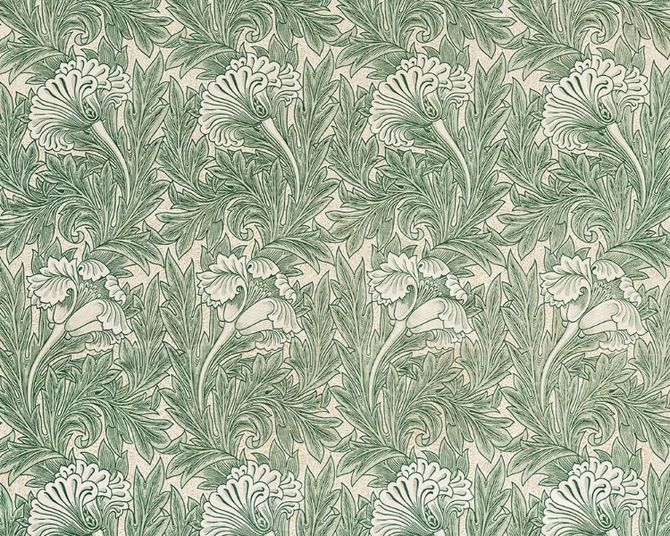 Picture of TULIP 1875