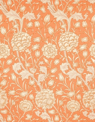 Picture of WILD TULIP 1884