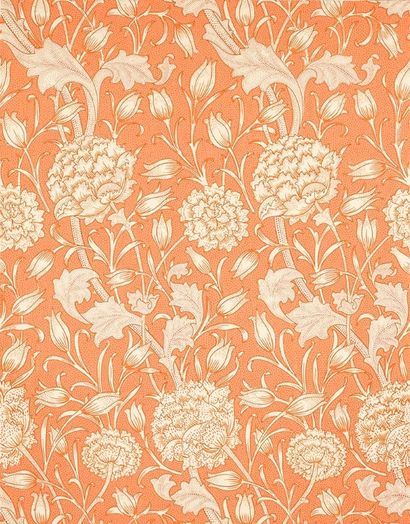 Picture of WILD TULIP 1884