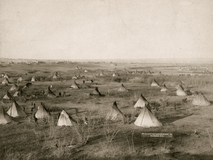 Picture of HOSTILE CAMP