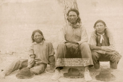 Picture of UNCLE SAMS PETS