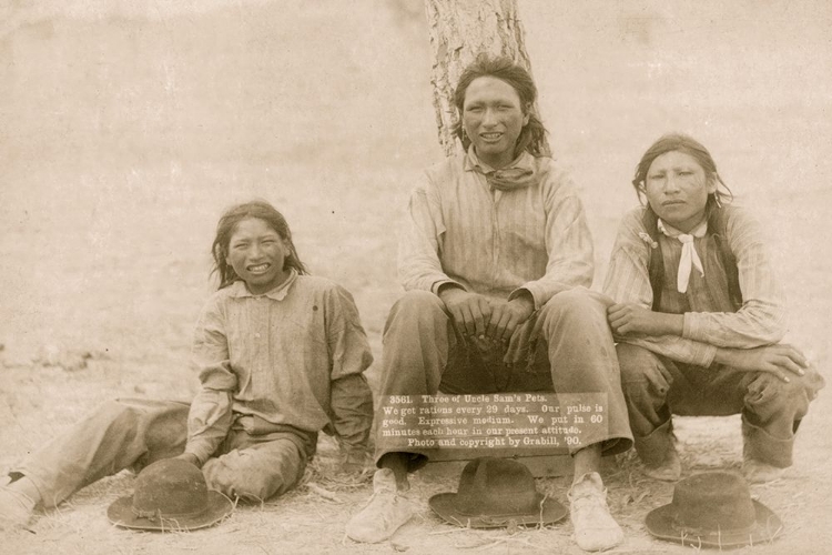 Picture of UNCLE SAMS PETS