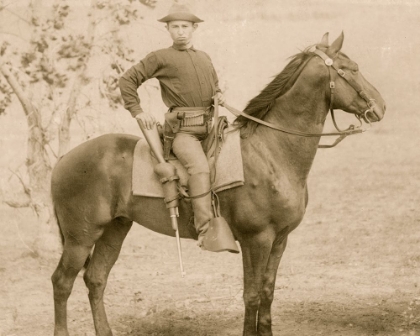 Picture of THE CAVALIER